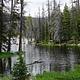 Trial Lake Campground