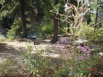 Hause Creek Campground 