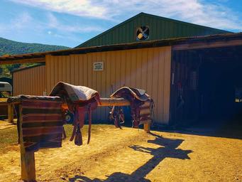 Iron Mountain Horse Camp