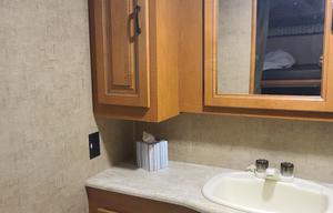 2017 Forest River RV Sunseeker 3170DS Ford