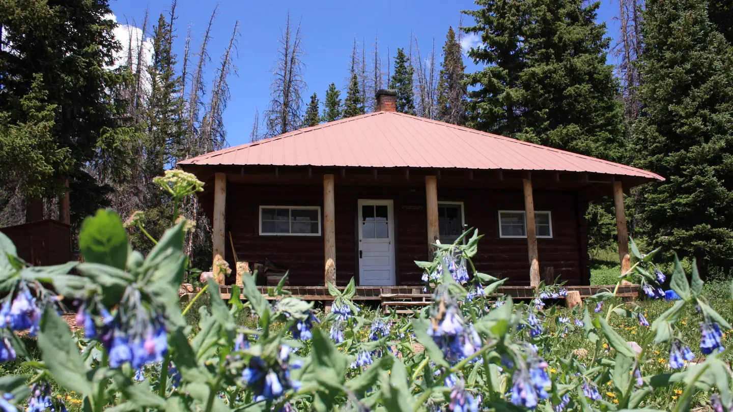 Little Brooklyn Lake Guard