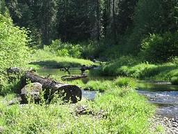 Jim Creek Group Campground