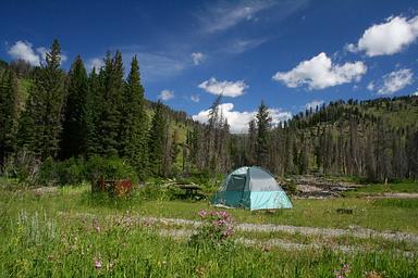 A blue sky and green hills form a backdrop for Slough Creek Campsite #7