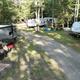 Wide view of an RV loop showing multiple RVs and the roadway through the woods — useful for illustrating RV parking/pull-through sites and campsite density/layout.