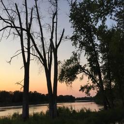 Cedar River Campground