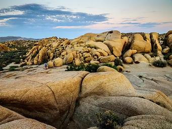 Jumbo Rocks, Joshua Tree National Park