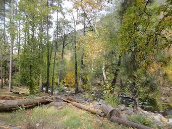 Manzanita Campground river