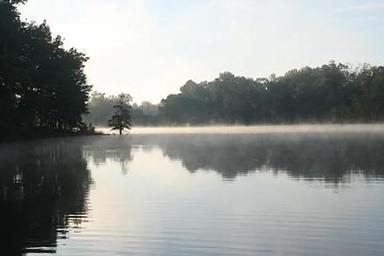 Forkland