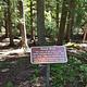 Black Bear Sign at Osprey Campground