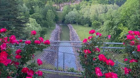 Overlook of the outflow