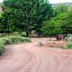 A dirt road. There are dumpsters at the end of the road. There is desert fauna off to the right side of the road. There are many trees in the background.