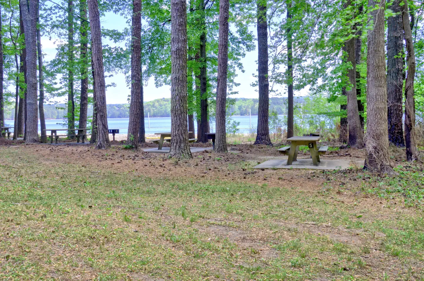 Sweetwater Day Use Area (GA)