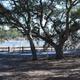 Campground image 4