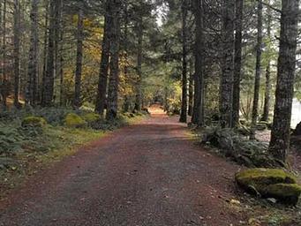 SUNNYSIDE CAMPGROUND