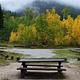 Picnic table with aspen trees with fall foliage 