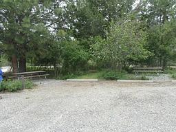 Rexford Bench