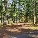 campsite 41