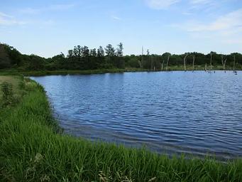 Blue Bill Fishing Pond