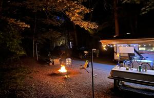 2020 Forest River RV Wildwood FSX 179DBKX