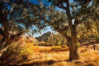 Pinnacles Campground
