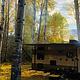 2018 Forest River RV Cherokee Grey Wolf 26DBH