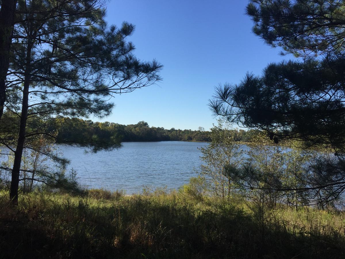 Camp David RV Resort