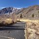 Convict Lake Campground campsite