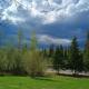 Lazy Moose RV Park