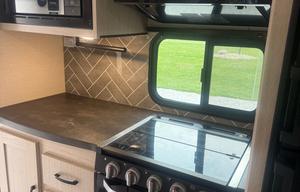 2021 Coachmen Apex Ultra-lite 293RLDS