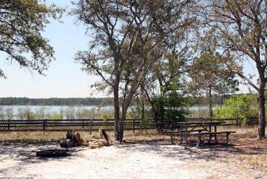 Campground image 2