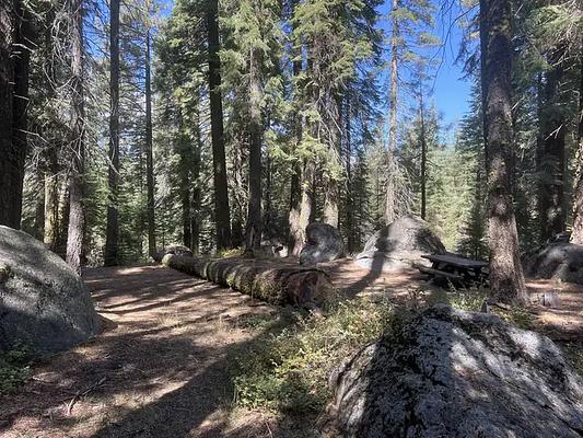 1, Loop: AREA SILVER CREEK GROUP CAMPGROUND