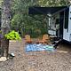 "Zen Den" 21 Forest River RV  WolfPup Black Label