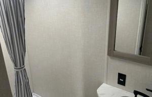2025 Forest River RV Wildwood FSX 174DBLE