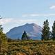 Hat Creek Resort and RV Park - Area Attractions
