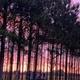 Campspot slideshow image 4