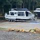 Sunrise River RV Park and Campground