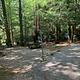 Van Hook Glade Campground 2