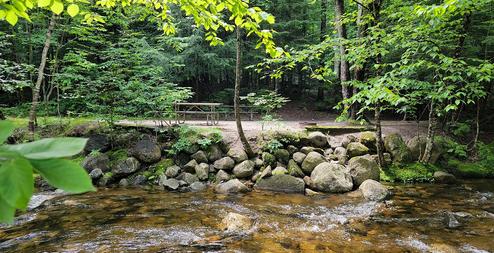Brookside Tent Site