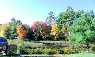 Woodman Lake Campground