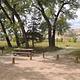 Cottonwood Preview Image shows a campsite with a picnic table framed by cottonwood trees and a bluff in the background