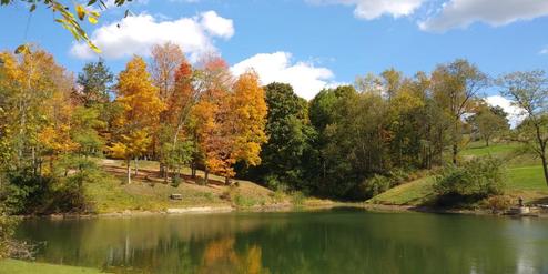 Campground image 2