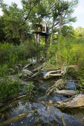 Cypress Valley
