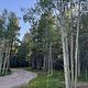 Red Springs Campground - North End