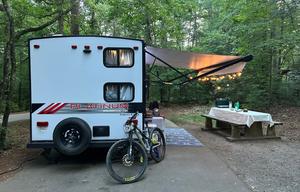 2020 Forest River RV Wildwood FSX 179DBKX