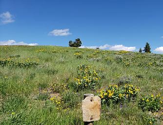 Bald Butte Lookout View 2