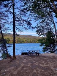 Lakeside picnic table and fire ring at a campsite — clear view of an individual campsite and waterfront setting.