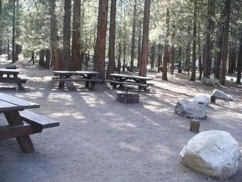 PINE GLEN
