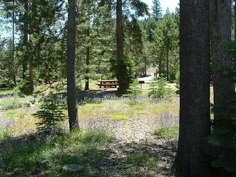 Silver Creek-truckee