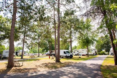 RVs and camper vans are parked among tall trees at a campground on a sunny day, with picnic tables and a paved path visible.