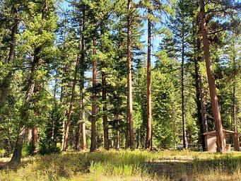 Alta Campground south end